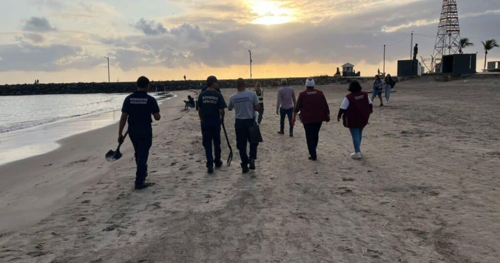 Grupo Interinstitucional actualiza avances y refuerza acciones integrales ante presencia de hidrocarburos en costas del Golfo de México