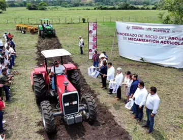 Entregan las primeras mil novillonas y 100 sementales a pequeños productores de Cárdenas