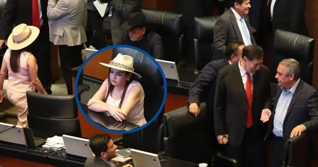 Sheinbaum y autoridades ante caso Grecia Quiroz