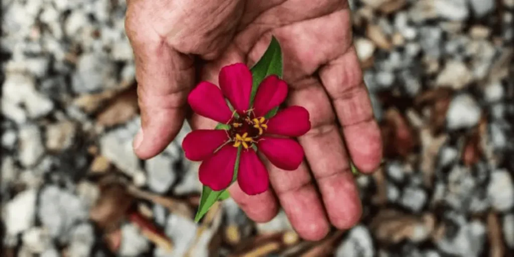 Reflejos: la resistencia cultural maya que recorre Europa