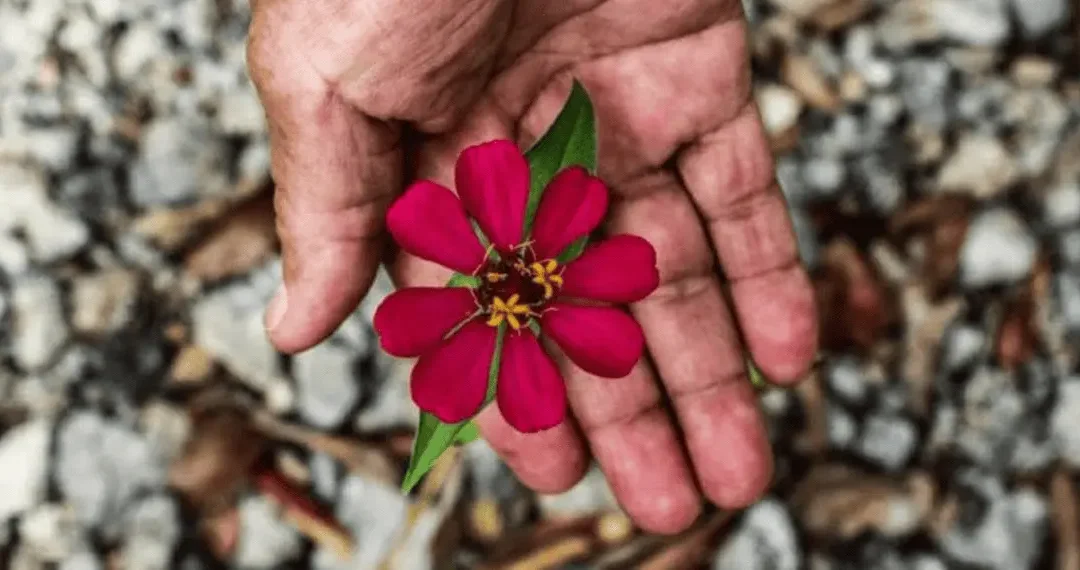 Reflejos: la resistencia cultural maya que recorre Europa