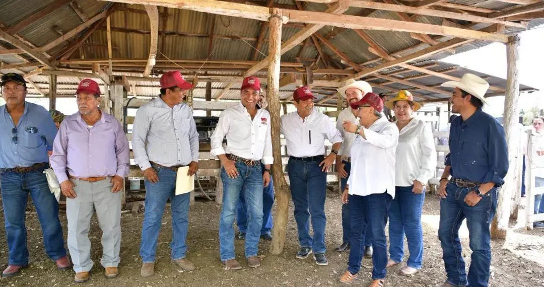 Desarrollo rural en Tabasco: Sembrando Vida y Crédito Ganadero