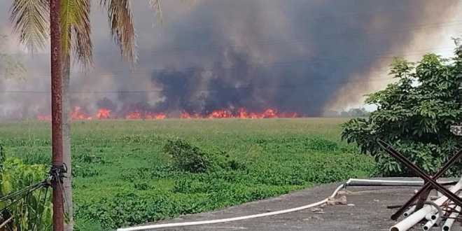Avanza control de incendio en los Pantanos de Centla