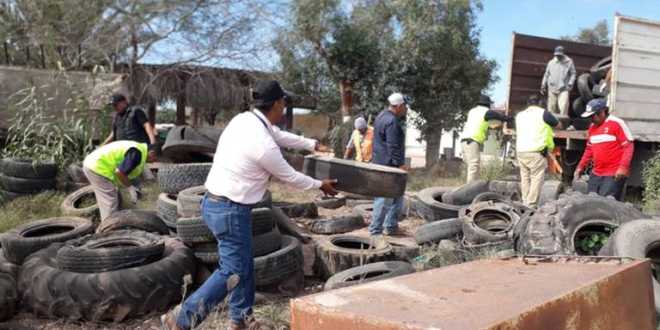 Mantiene el sector Salud acciones contra paludismo