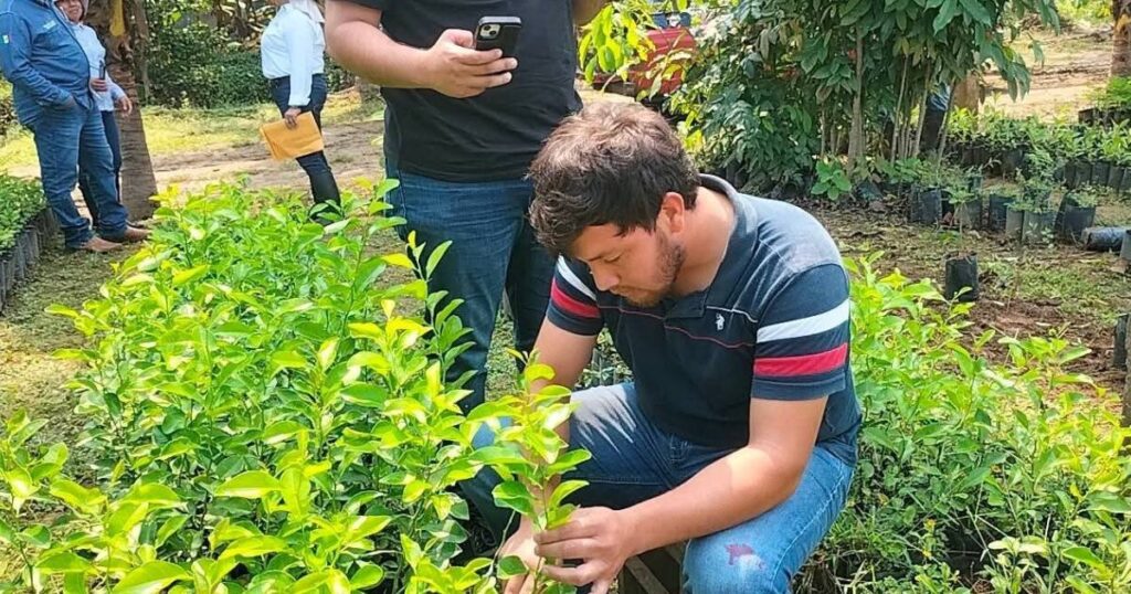 Apuestan por el campo para garantizar alimento en Tabasco