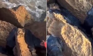 Chapopote reaparece en playas de Tamaulipas y contradice versión oficial