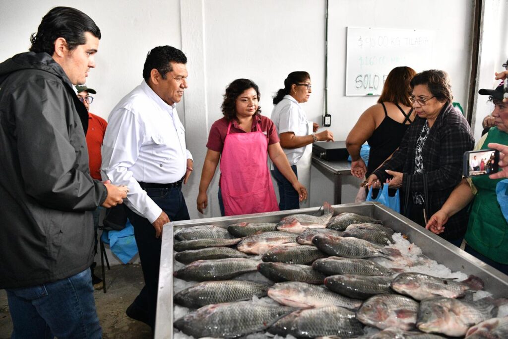 Impulsan venta directa de pescado en Tabasco