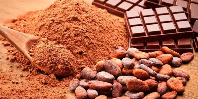 Crean chocolate con células de cacao cultivadas en un laboratorio