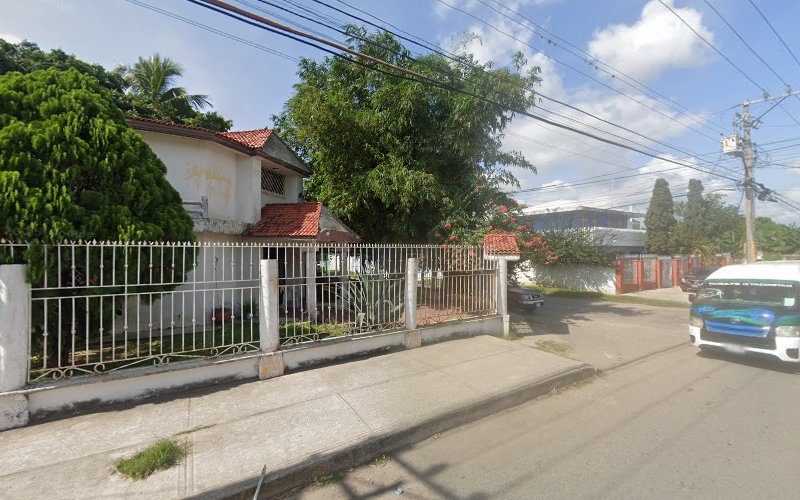 Dr. Pedro Esteban Olivares Ariño.