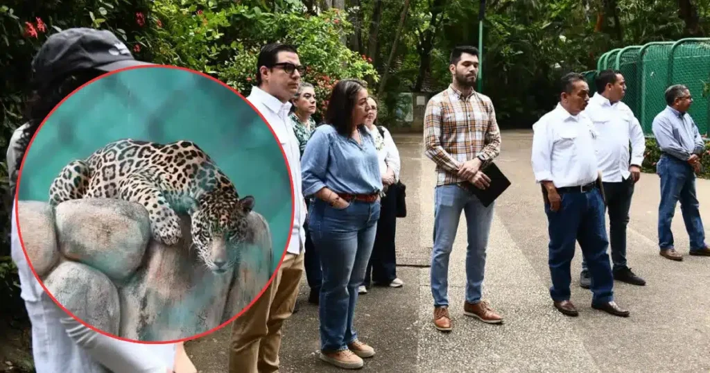 Parque del Museo: Autoridades certifican el bienestar animal en La Venta