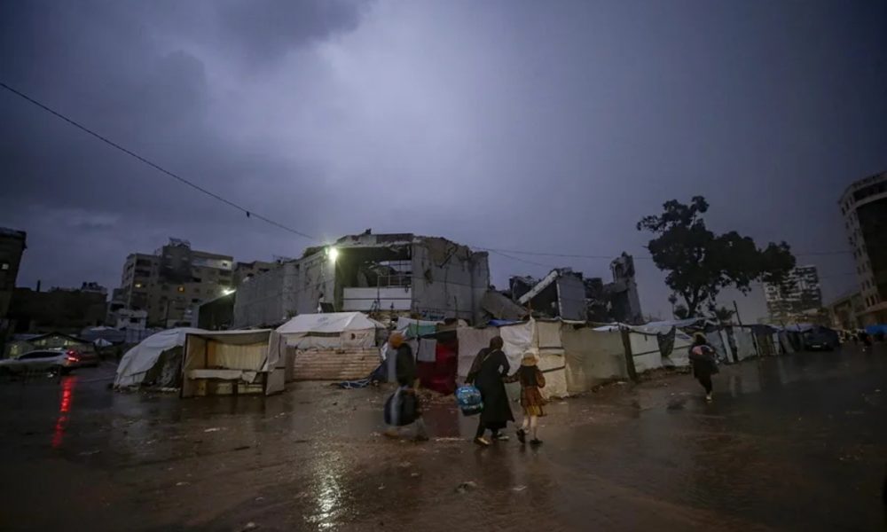 Plagas y enfermedades agravan crisis humanitaria en Gaza: OMS