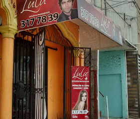 Lulú Estilistas Profesionales