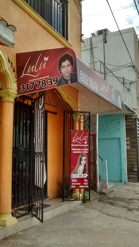 Lulú Estilistas Profesionales