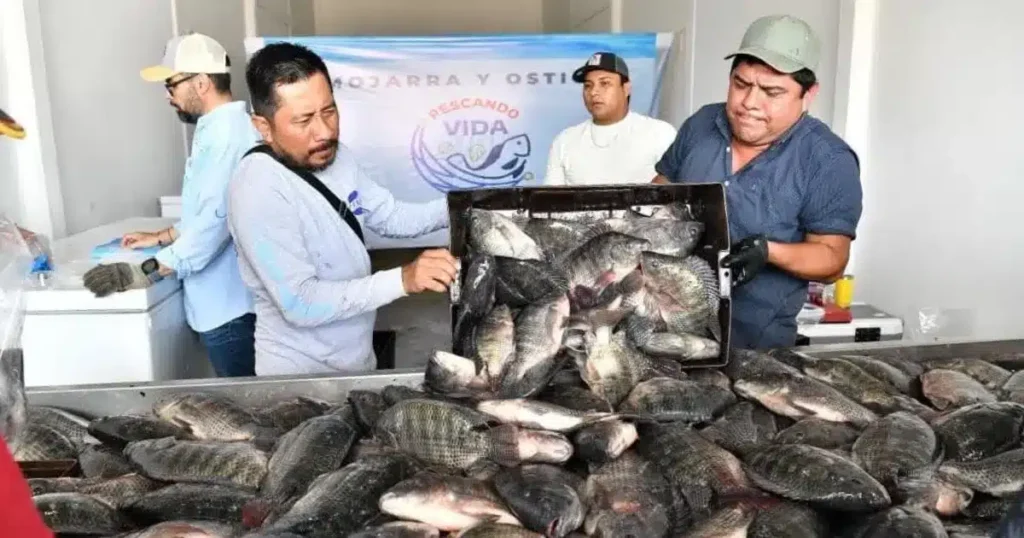 Productores de Tabasco tomarán la Central de Abasto