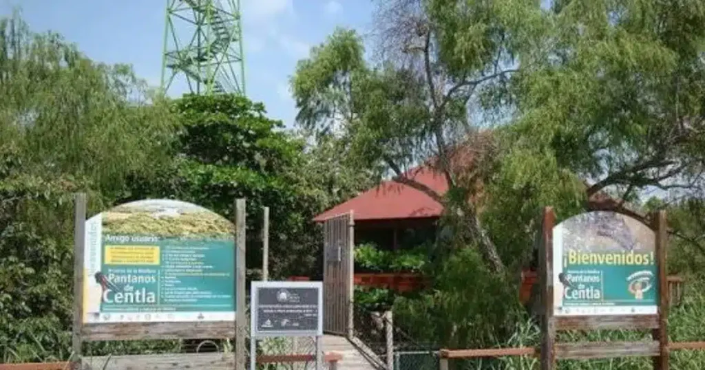 Tabasco será escenario natural de un largometraje