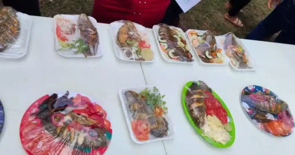Todo listo para el Festival del Ostión y la Tilapia
