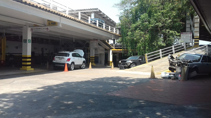 Top Multiservicio Automotriz