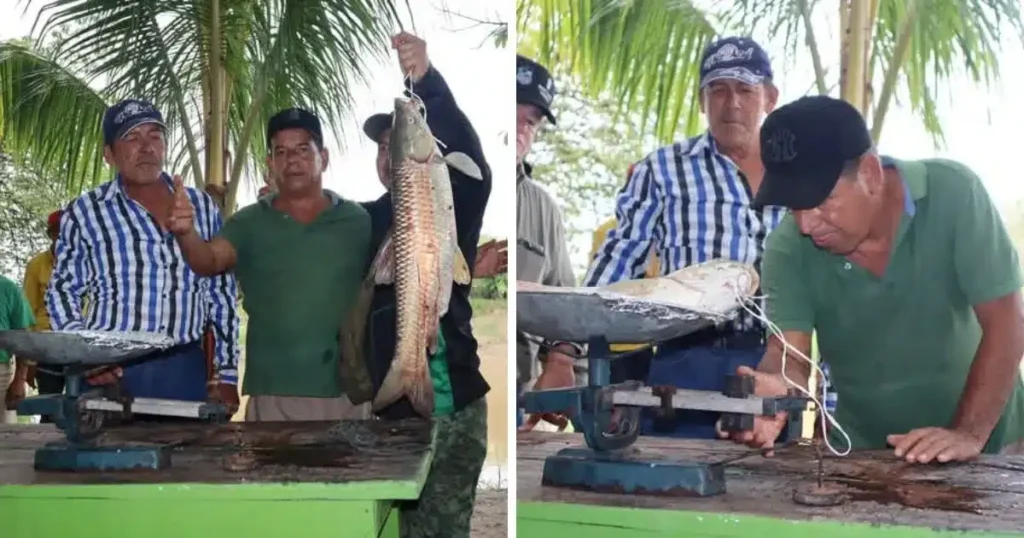 Tradición y Deporte se unen en el 12° Torneo de la Pesca del Bobo escamas