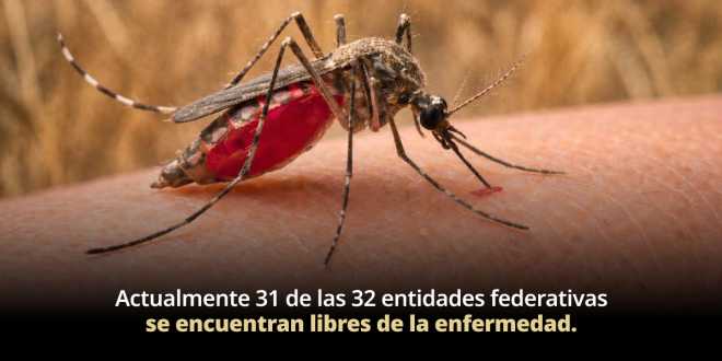 México avanza en el combate contra el paludismo