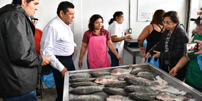 Punto de venta de Pescando Vida en la central de abastos ofrece productos frescos, de excelente calidad y sin intermediarios