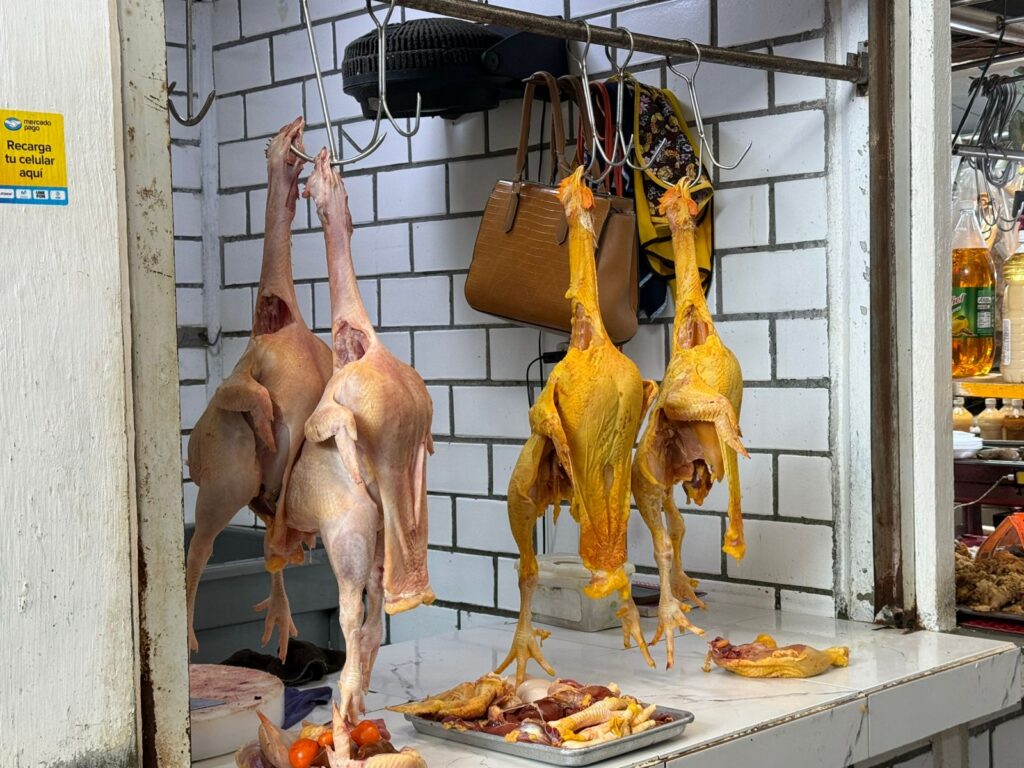 Comerciantes de aves prevén incremento de hasta 100% en ventas