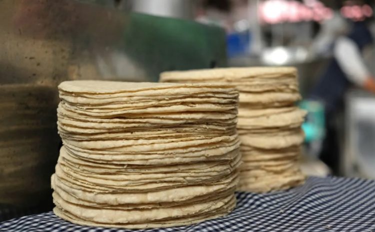 Descarta Sheinbaum aumento en precio de kilo de tortillas