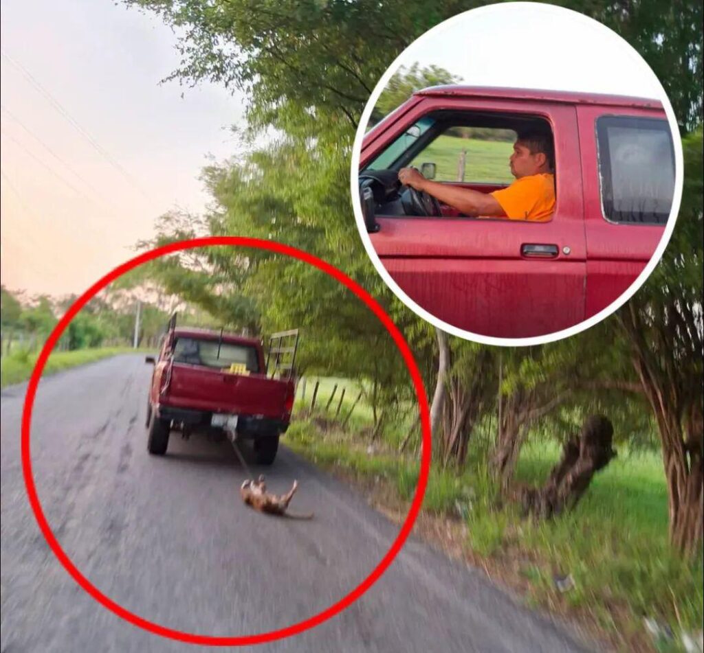 Sujeto ebrio arrastra a un perro por la calle