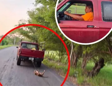 Evidencian a camioneta arrastrando a perro en Nacajuca; conductor asegura que no se dio cuenta