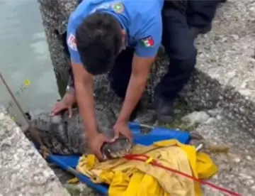 Libera PC de Centro cocodrilo en la Laguna de las Ilusiones