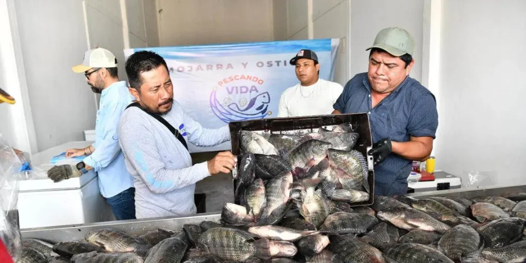 Venden más de mil tons. de mojarra