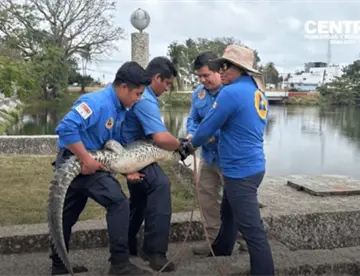Alerta Centro por reptiles y especies que buscan refugio durante la temporada de calor e incendios