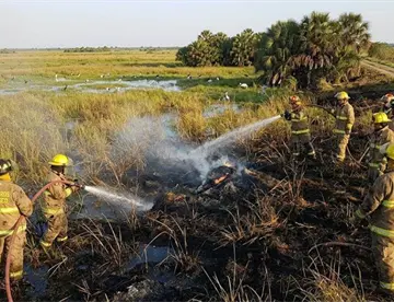 Liquidan incendio forestal que consumió 131 hectáreas en Pantanos de Centla