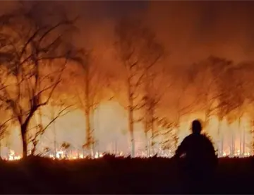 Tras varios días y 600 hectáreas afectadas, controlan incendio en Balancán