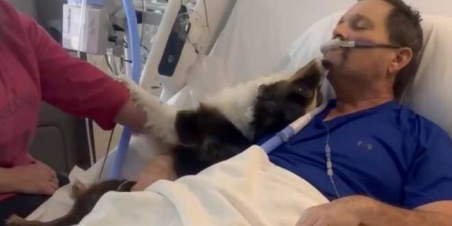 Emotivo reencuentro entre un enfermo terminal y su perro