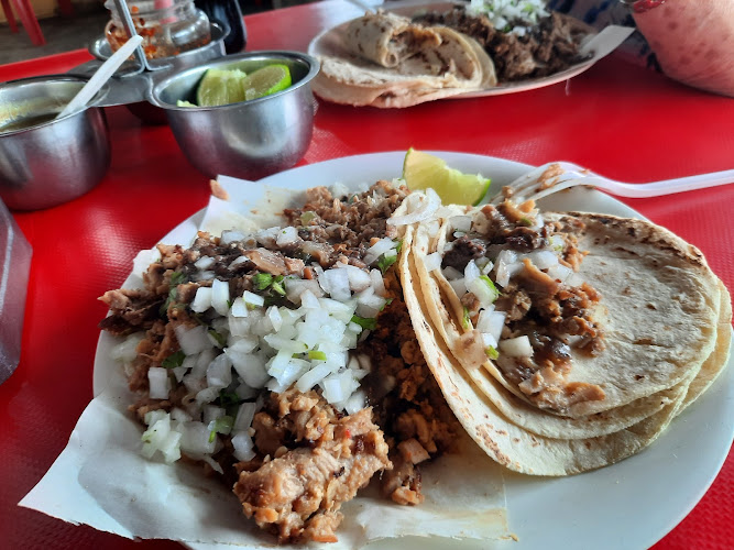 Taqueria Alfonso