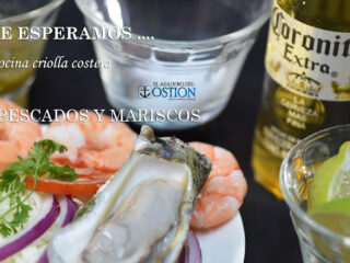 El Asadero del Ostion *Cocina Criolla Costera*