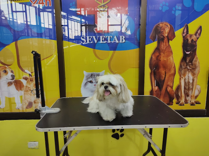 SEVETAB (Servicio Veterinario de Tabasco)