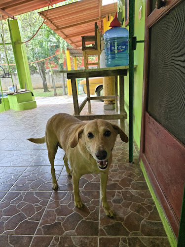 MORALES & THOMAS VETERINARIOS