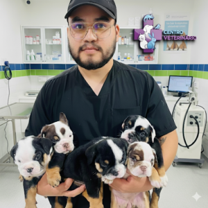 Clinica CENTRO VETERINARIO