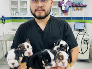 Clinica CENTRO VETERINARIO