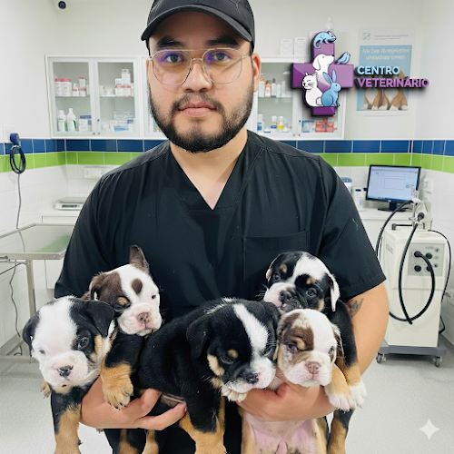 Clinica CENTRO VETERINARIO