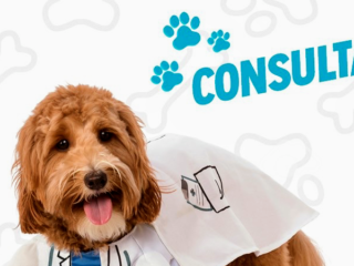 Hospital Veterinario RG Alimentos y Más