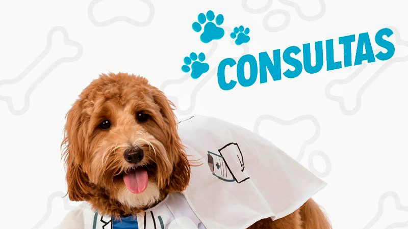 Hospital Veterinario RG Alimentos y Más