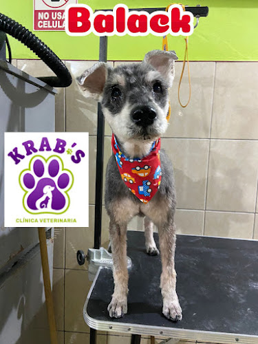 Krab’s: Clínica Veterinaria