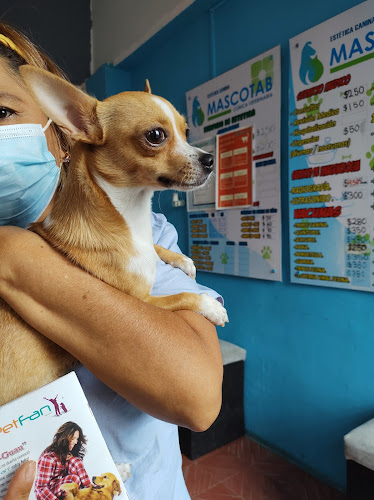 MASCOTAB CLINICA VETERINARIA