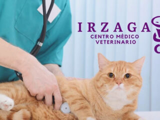 IRZAGA Centro Médico Veterinario
