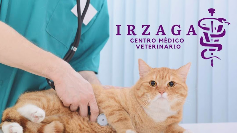 IRZAGA Centro Médico Veterinario