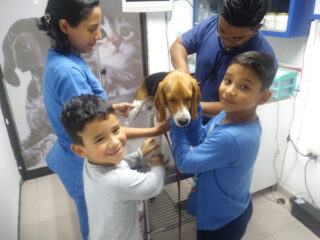 Kaiser Hospital Veterinario