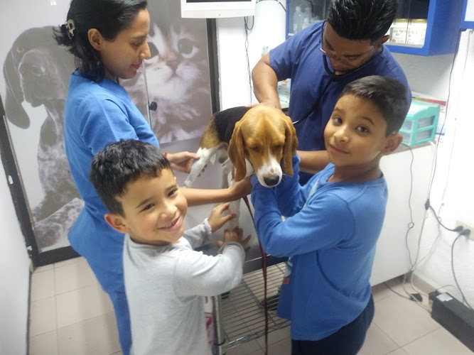 Kaiser Hospital Veterinario