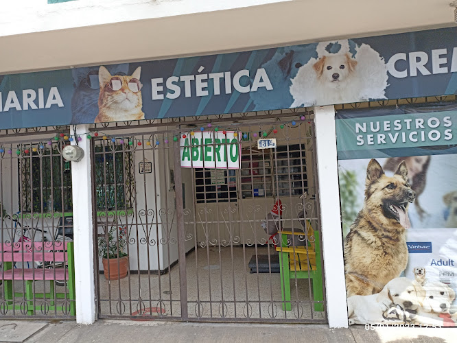 Pets Veterinaria Y Crematorio